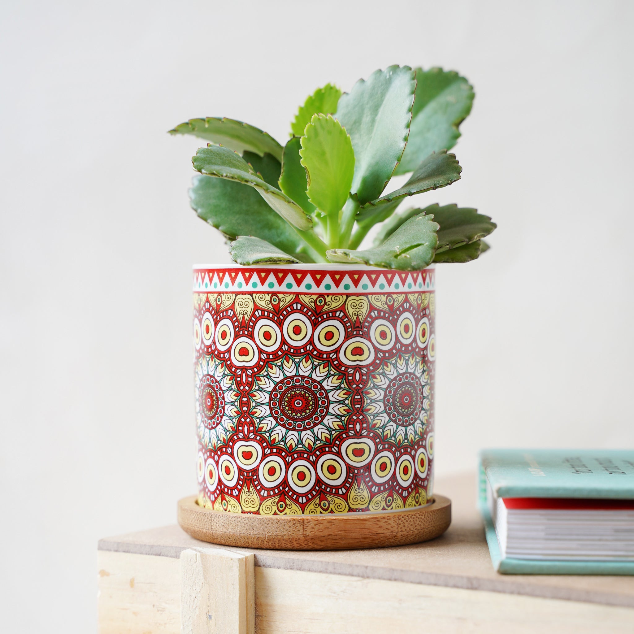 House Plant Pots