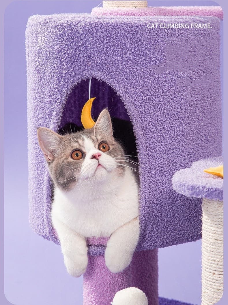 165cm |150cm Dream Cat Scratching Tree – Purple