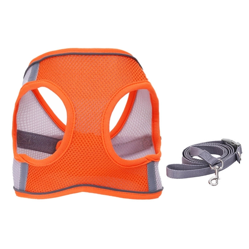 Minimalist Polyester Color Block Leash