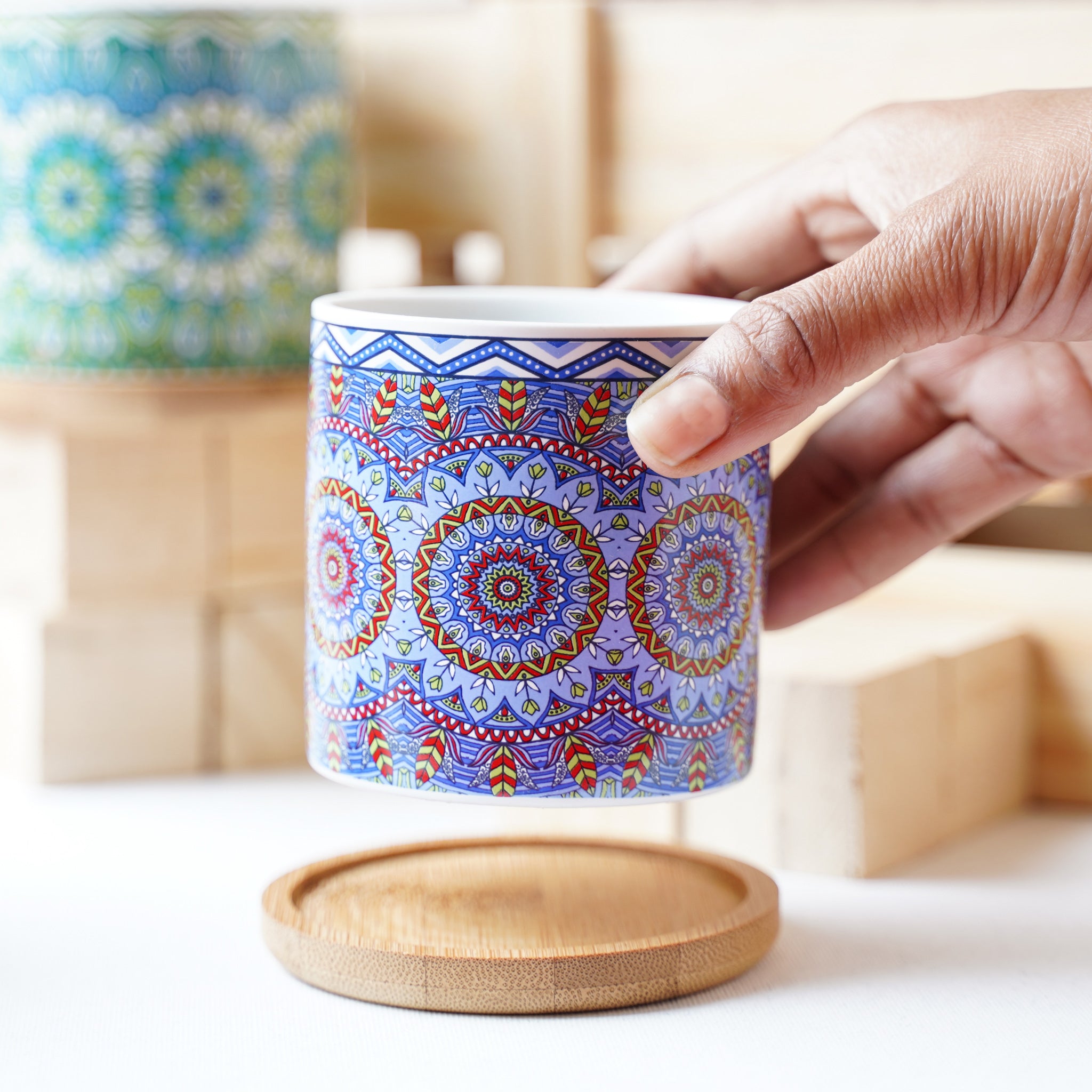 House Plant Pots