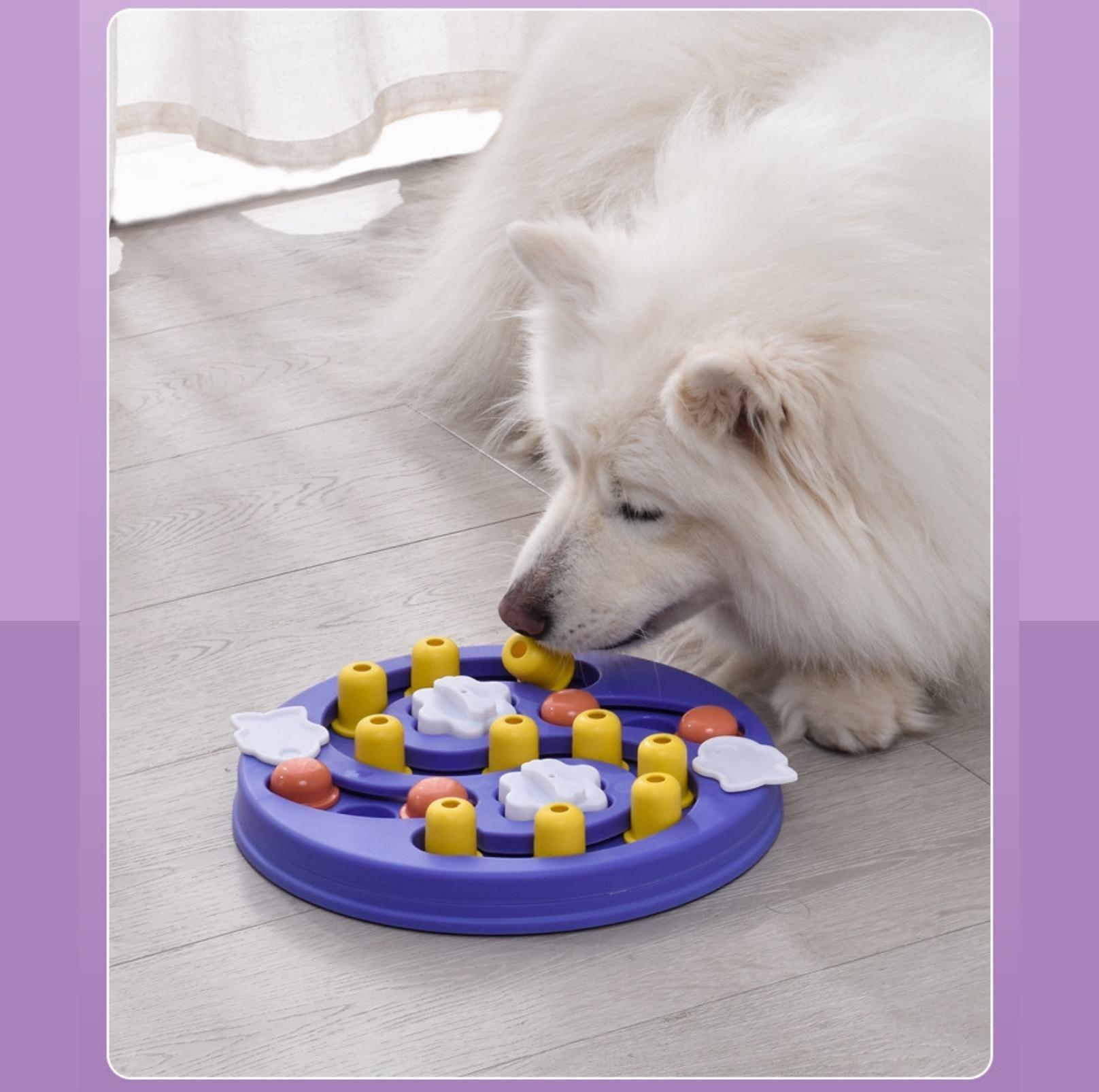 Interactive Colourful Dog Puzzle Training Toy