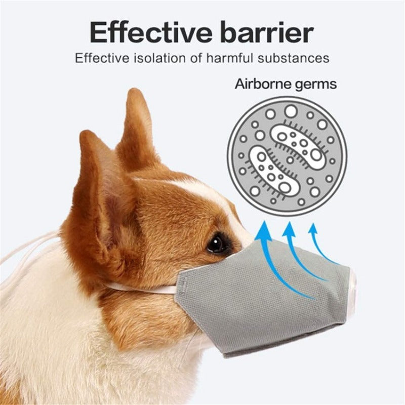Dog Protective Mask