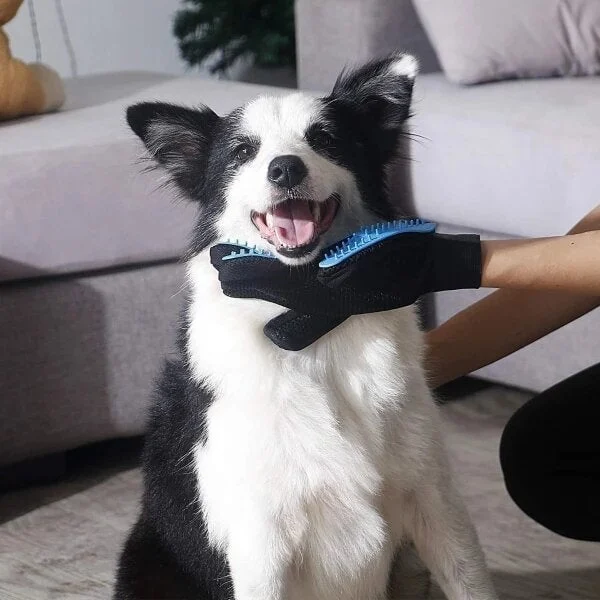 Pet Hair Remover Glove