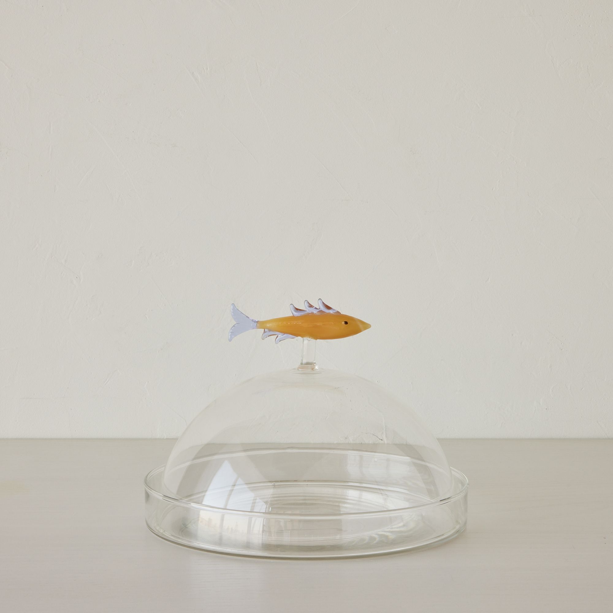 Sardine Glass Dish & Cloche