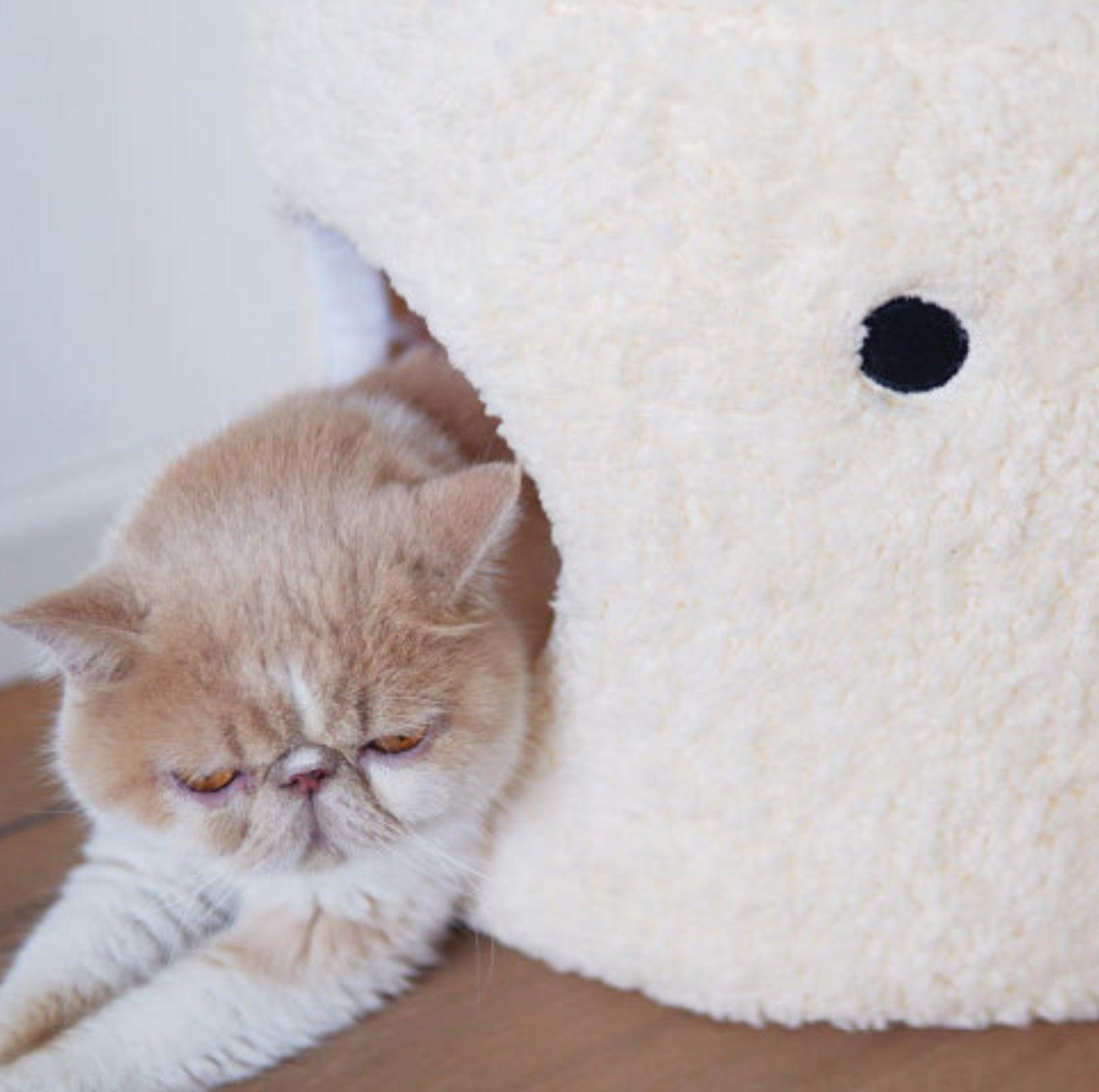 Little Chicken Series- Enclosed Plush Pet Bed