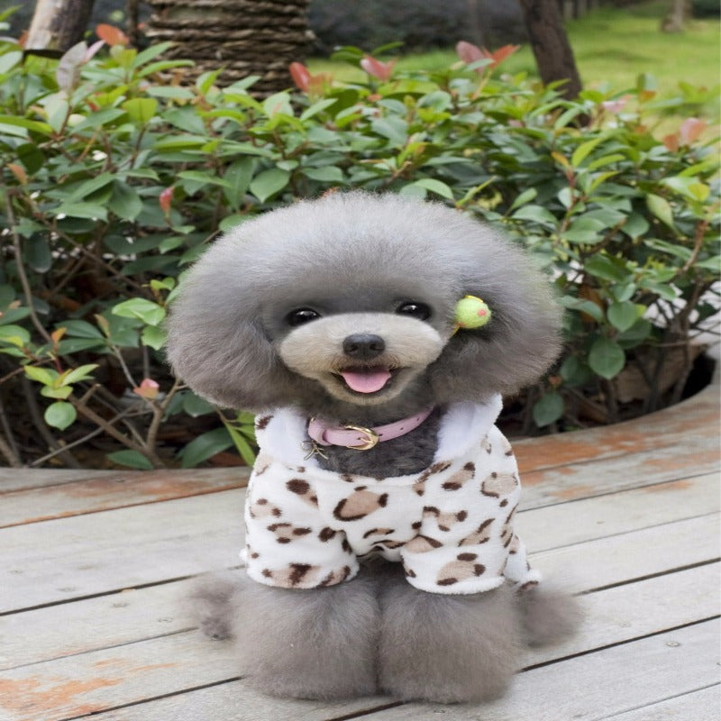 Dog Hoodies For Autumn