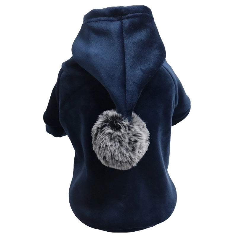 Casual Gold Velvet Solid Color Pet Clothing