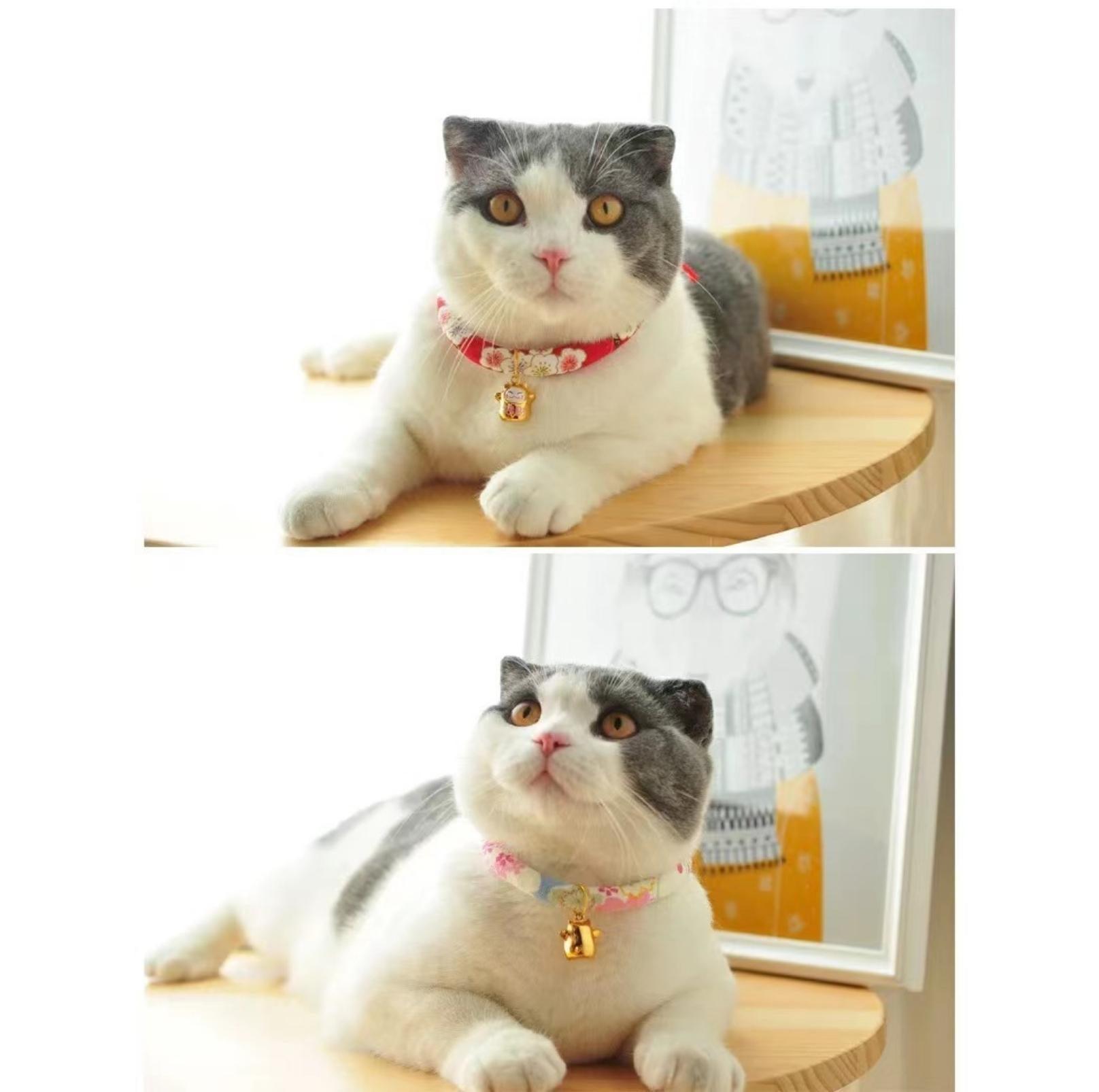 Waves And Flowers Pet Collar