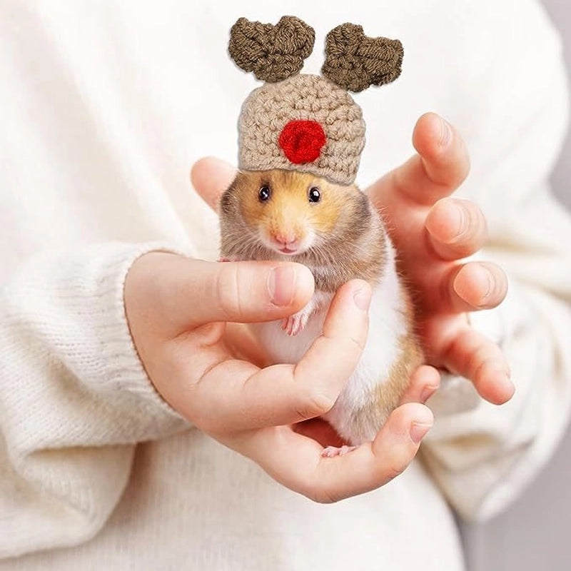 Cute Acrylic Animal Pet Hat