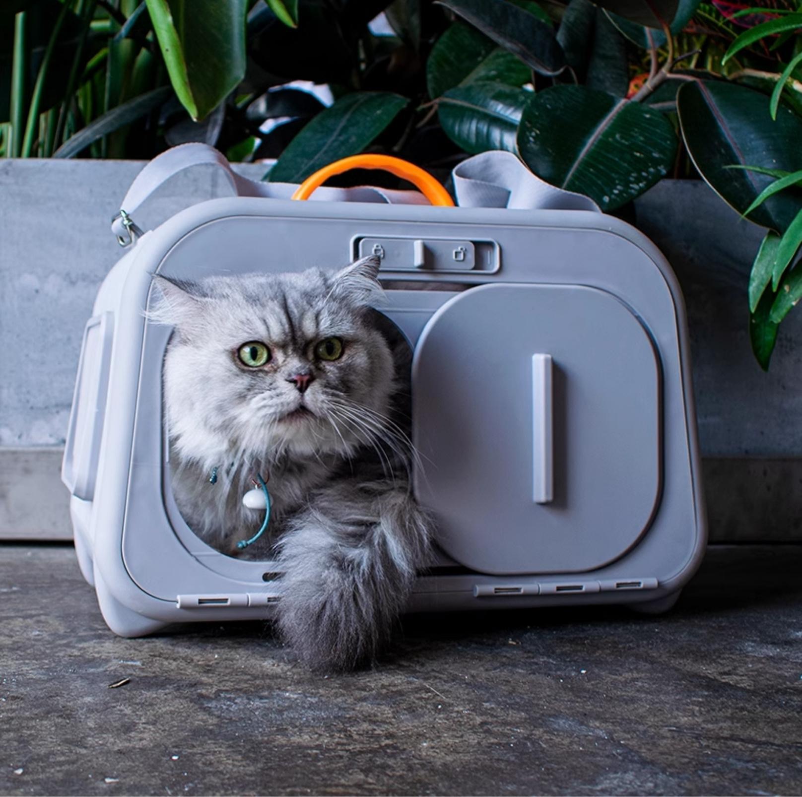 Stylish Shoulder Bag-Styled Pet Cat Carrier