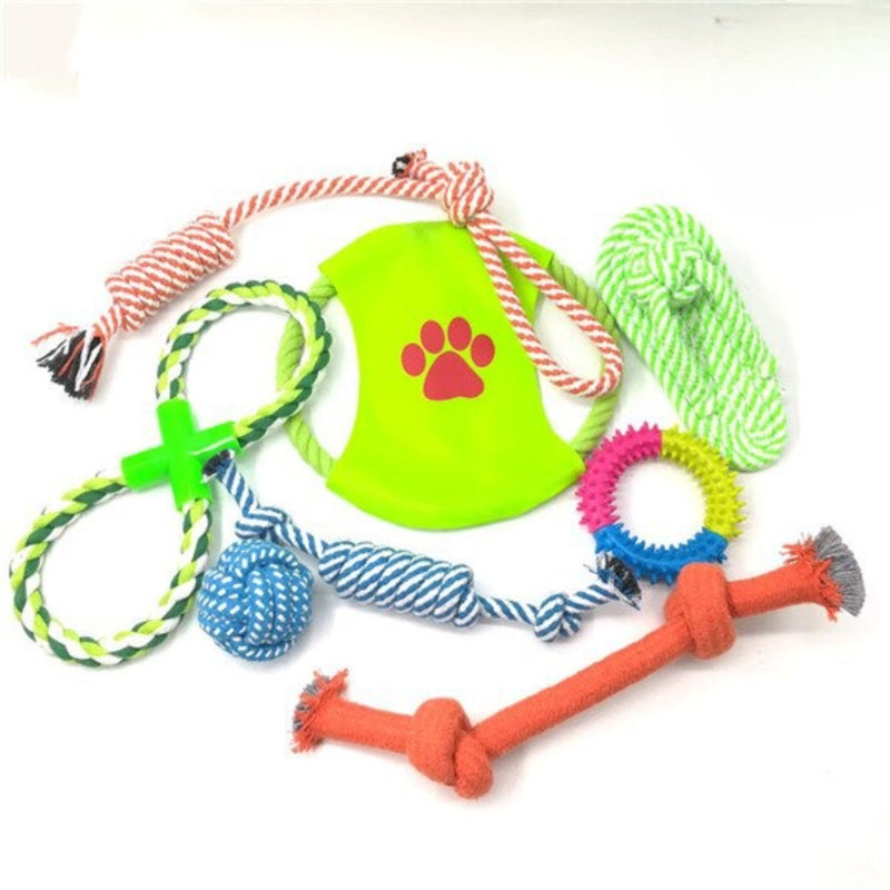 Dog Set Chew Toy