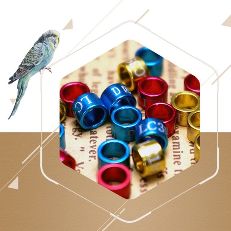 50Pcs/Pack Bird Foot Ring Band