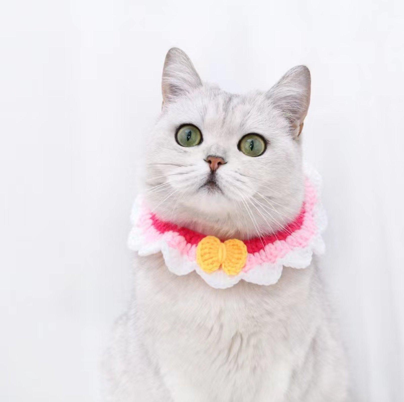 Pet Knitted Woolen Bibs