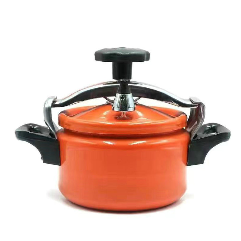 Uncoated Explosion-Proof Pressure MIni Cooker