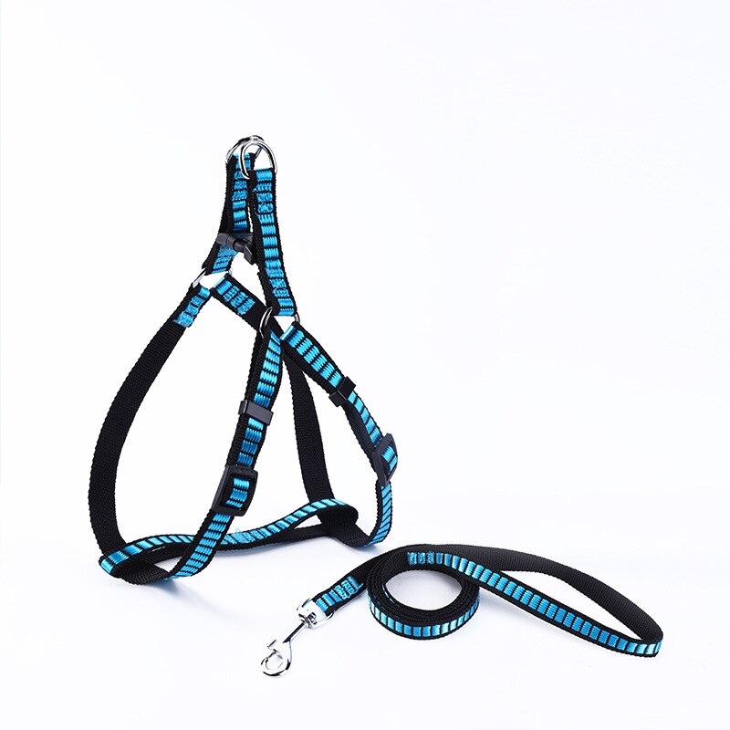 Dog Outdoor Harness And Leash Set