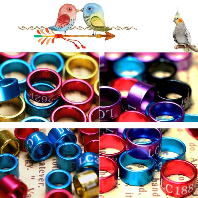 50Pcs/Pack Bird Foot Ring Band