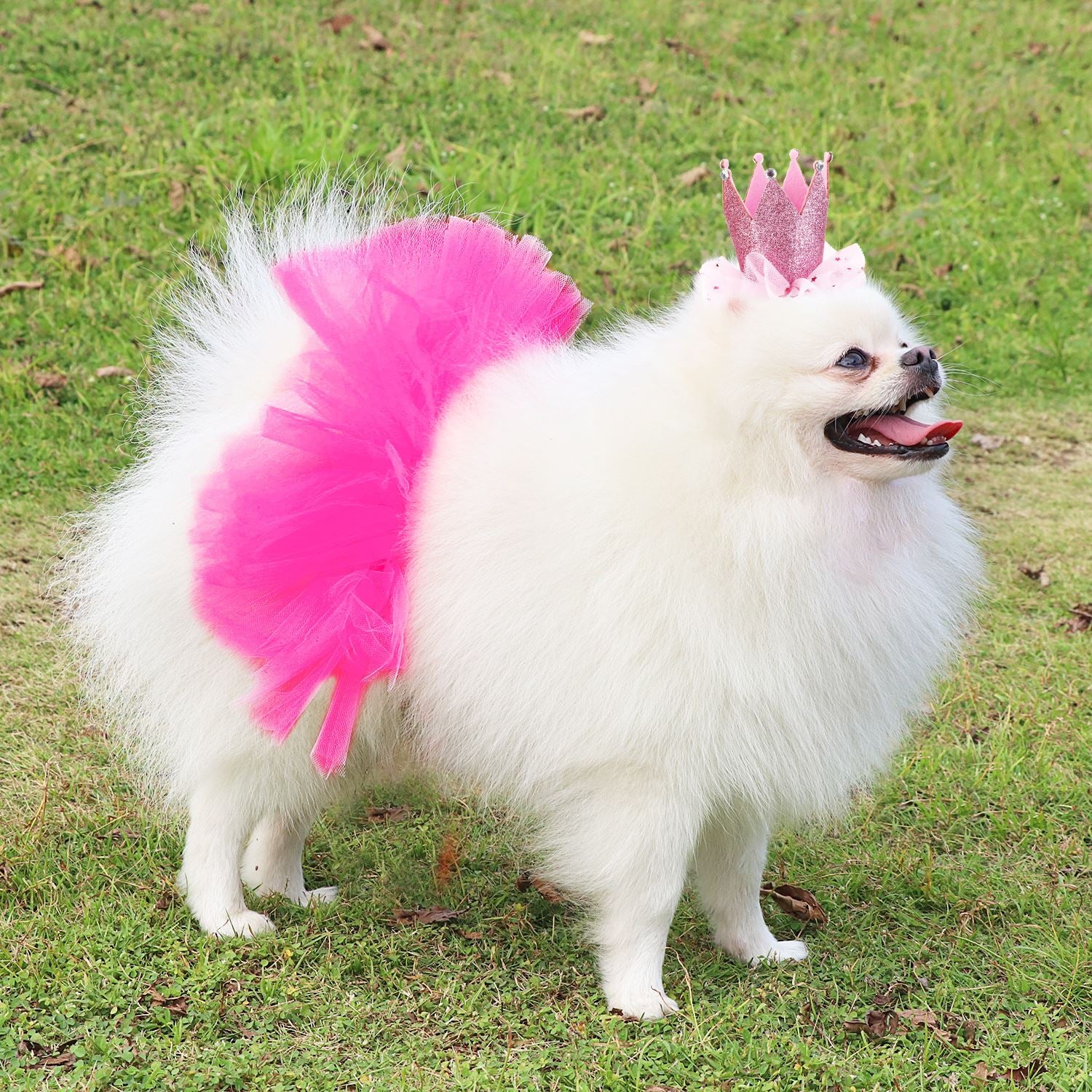 Tutu Skirts For Dogs