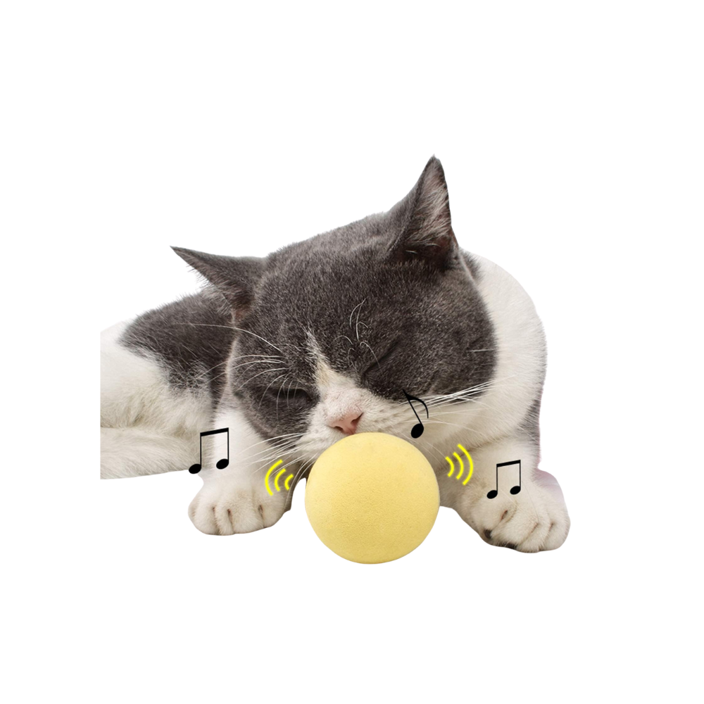 Interactive Ball Catnip Cat