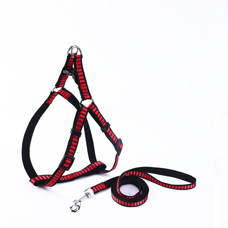 Dog Outdoor Harness And Leash Set