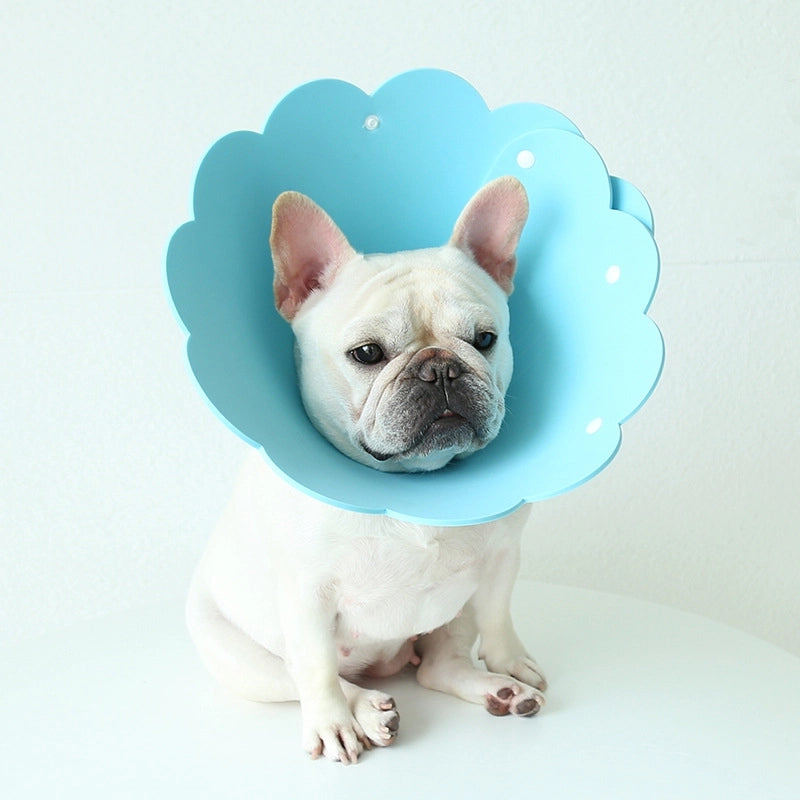 Minimalist Eva Solid Color Pet Collar