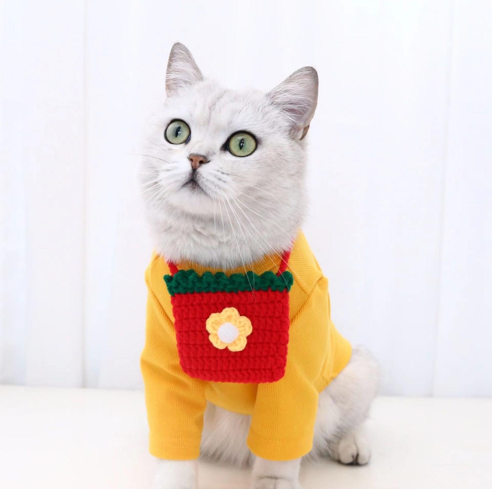 Knitted Cartoon Pet Self-Carrying Pack Style Accessory