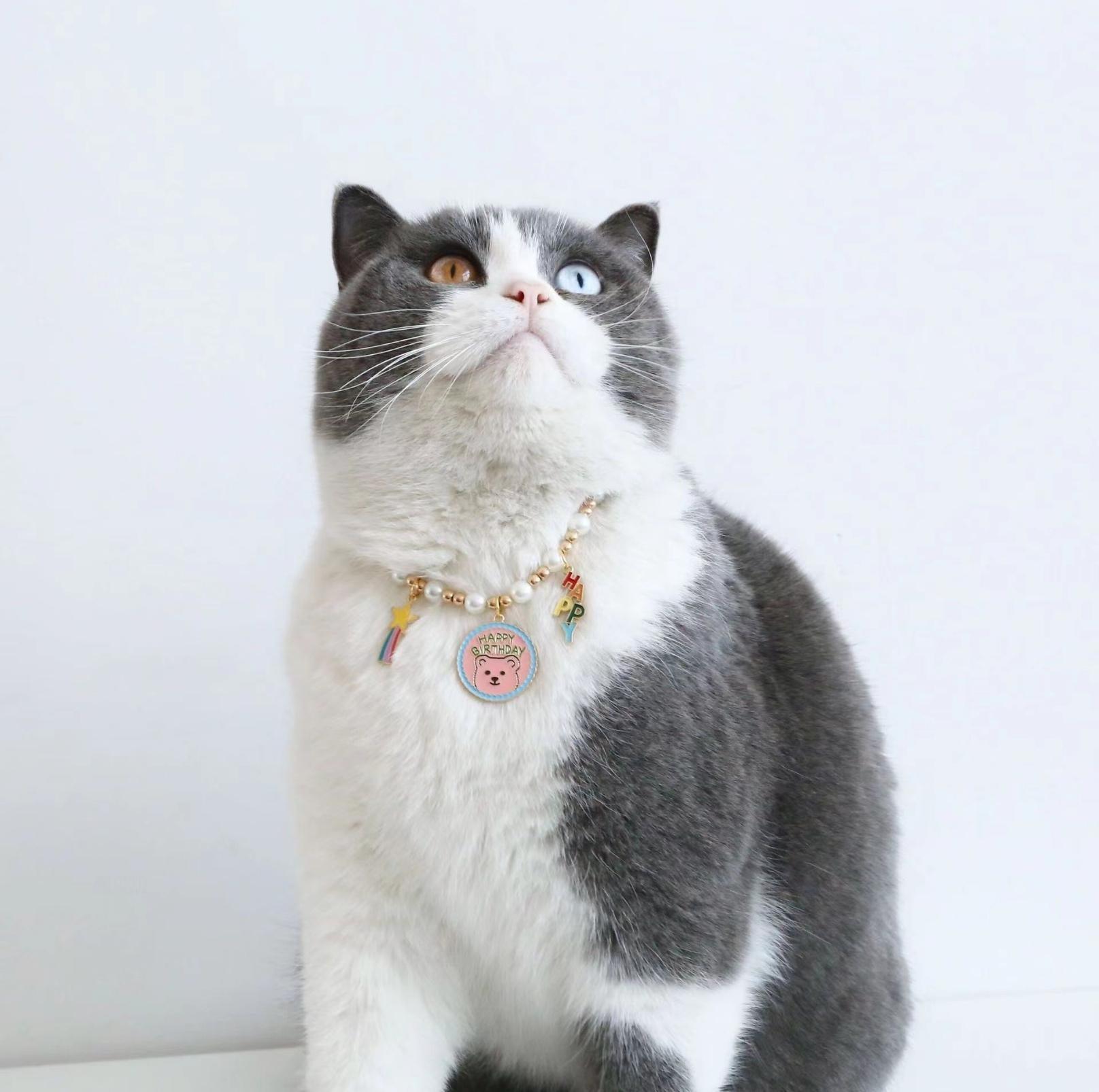 Adjustable Birthday Party Decor Pet Collar - Perfect for Celebrating