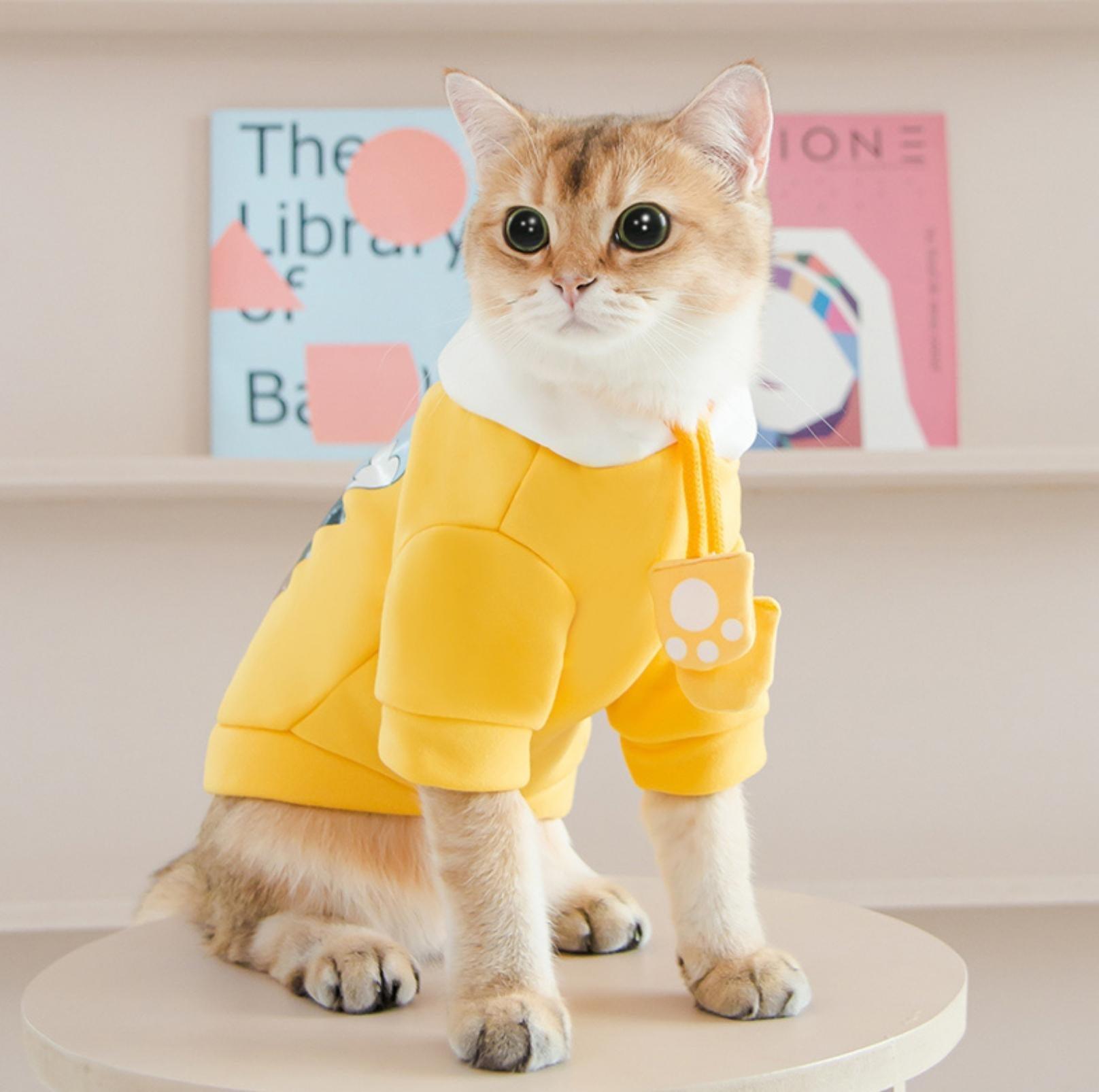 Adorable Bear Cartoon Hooded Pet T-Shirt