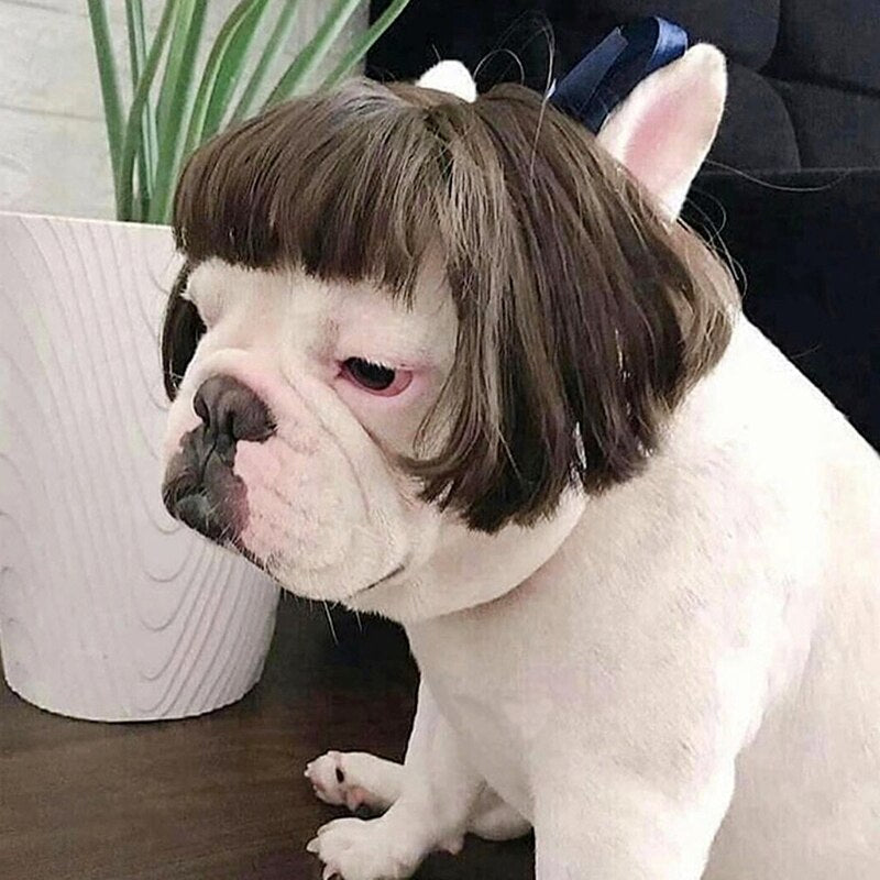 Head Wigs Pet Costumes