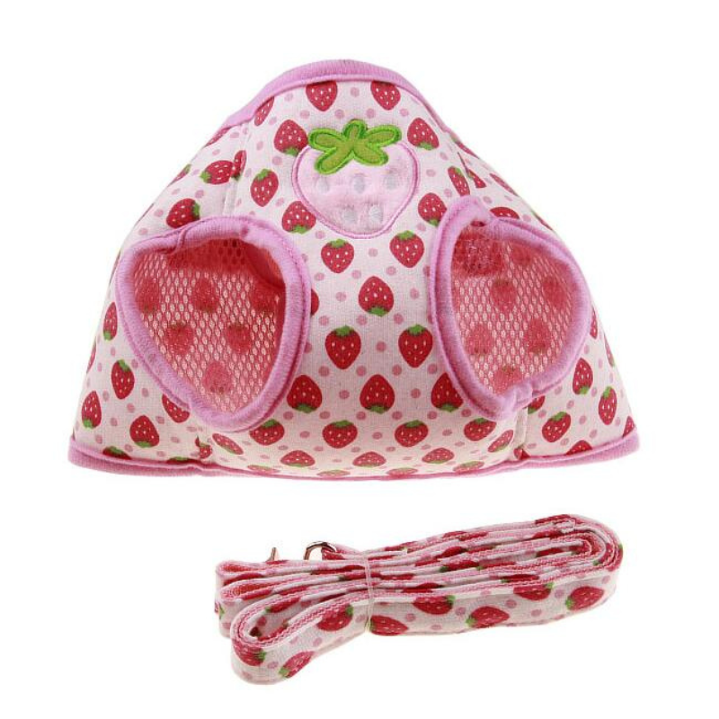 Dog Harness Vest Leash Set