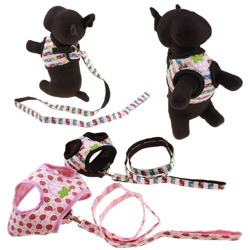 Dog Harness Vest Leash Set