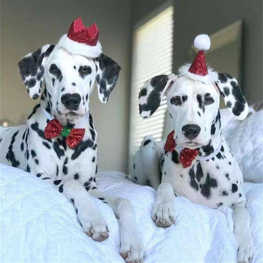 Christmas Costume Set For Dogs