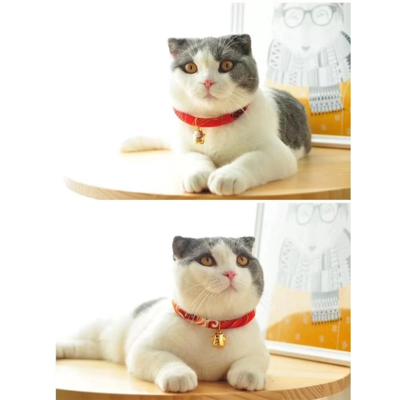 Waves And Flowers  Pet Collar