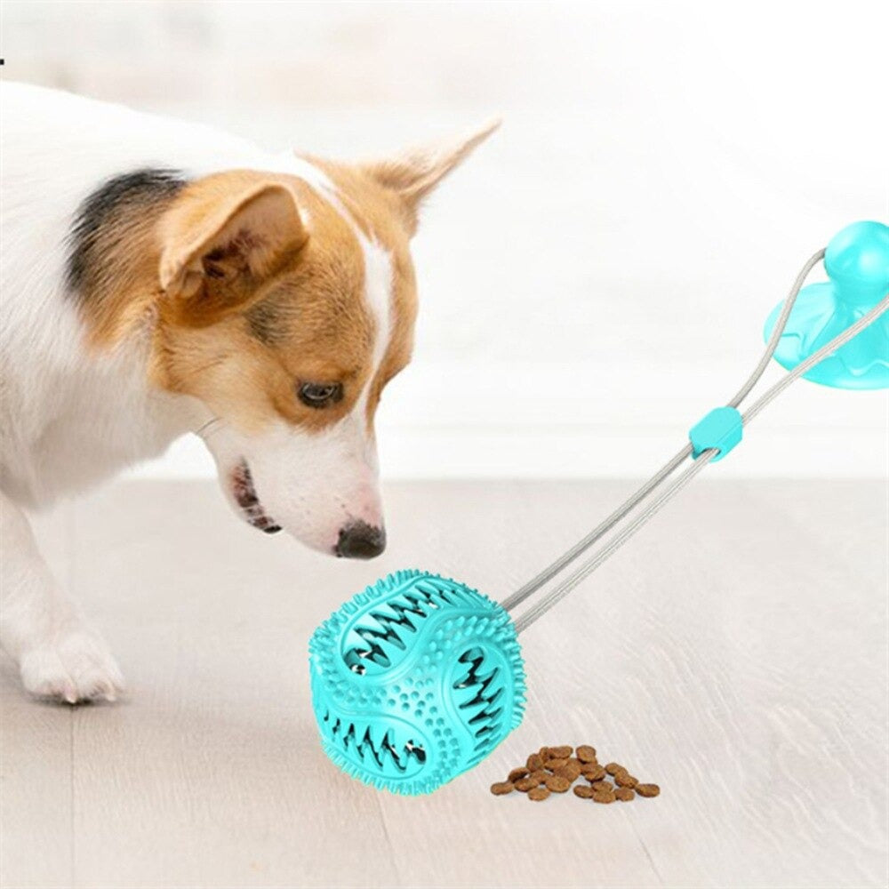 Dog Interactive Suction Cup