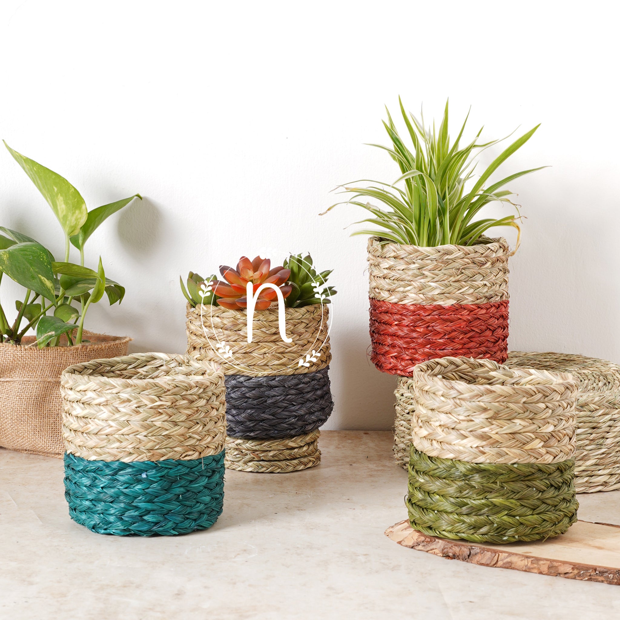 Small Planter Basket