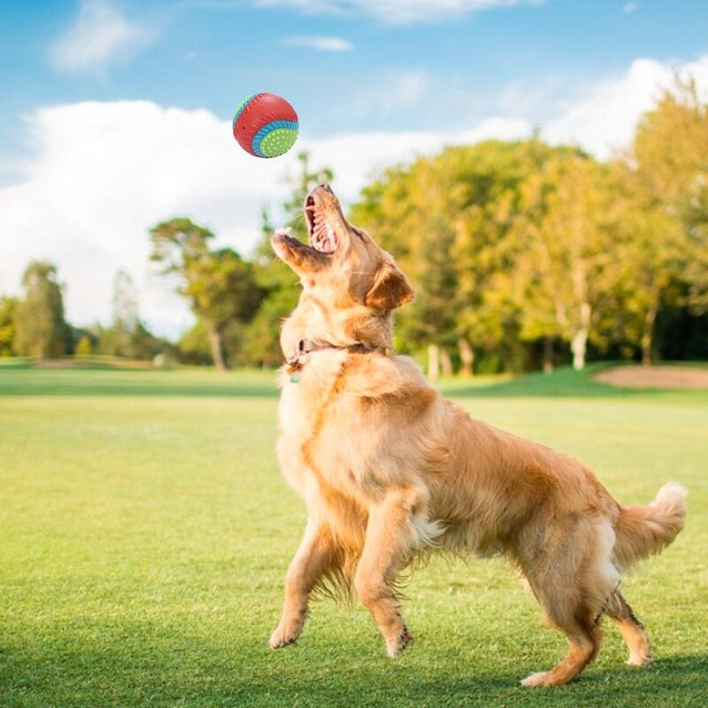 Dog Squeak Ball Toy