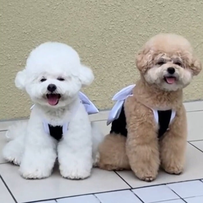 Large Bow Dog Cat Swimsuit