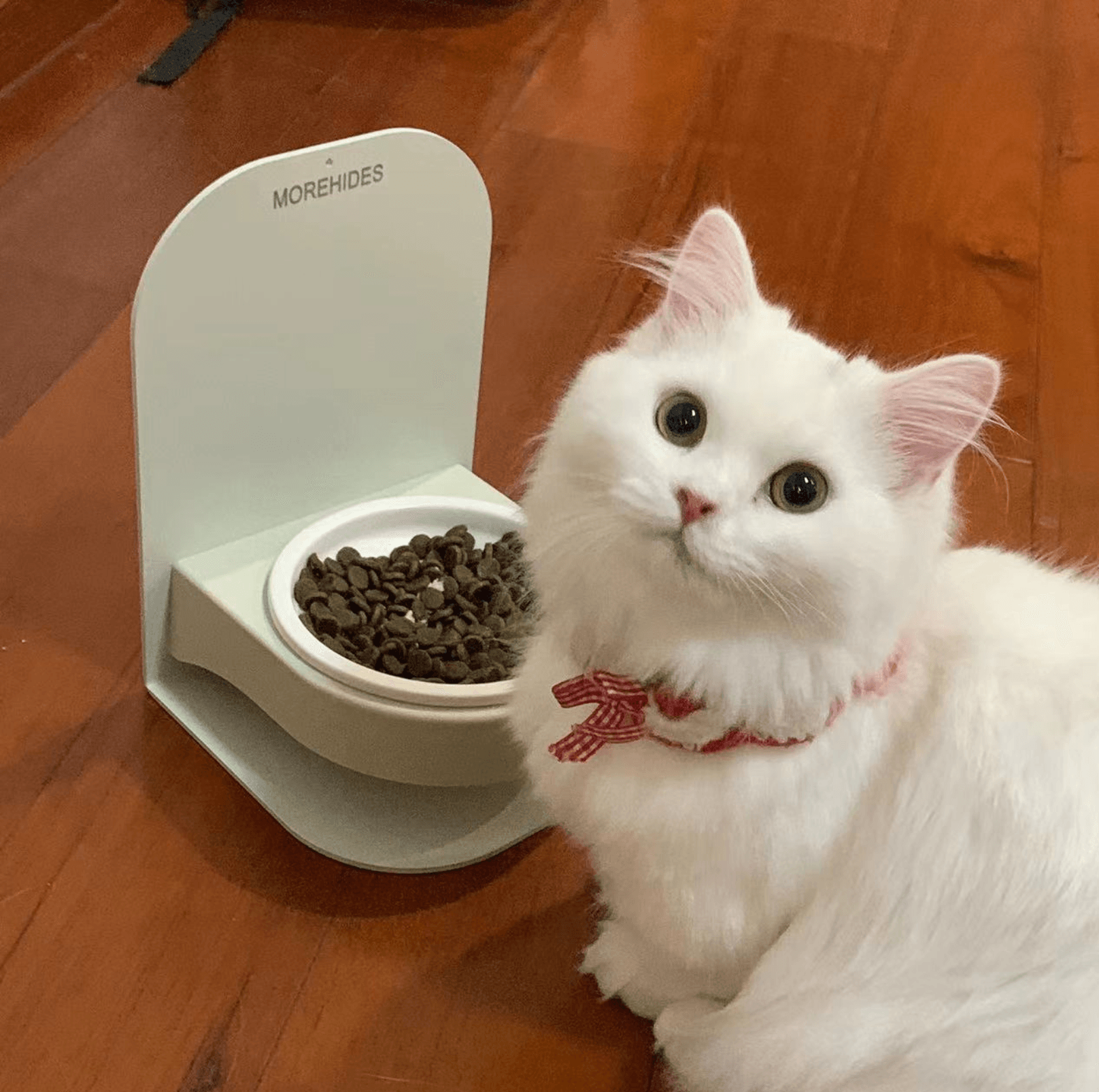 Adjustable Magnetic Cat Bowl Set - Durable and Versatile Feeding Solution
