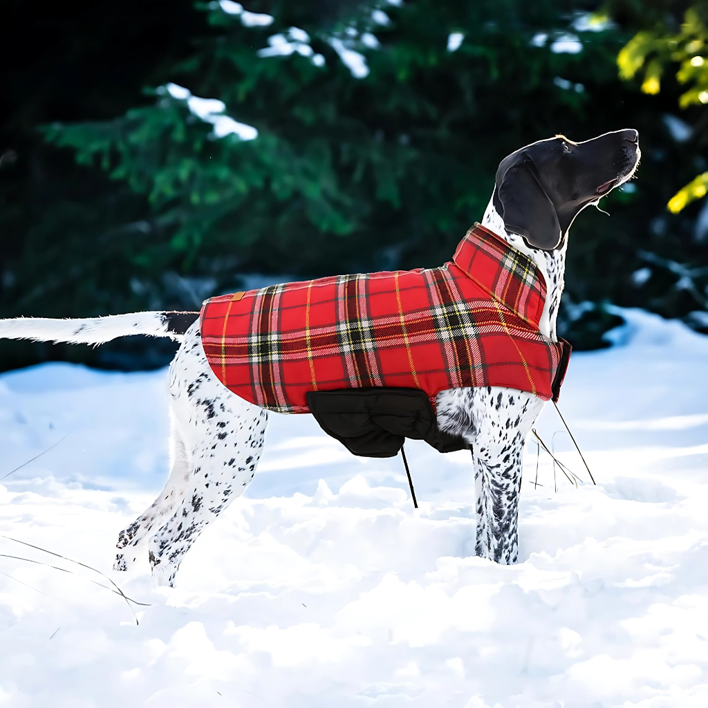 Adjustable Dog Raincoat Jacket With Hood And Leash Hole