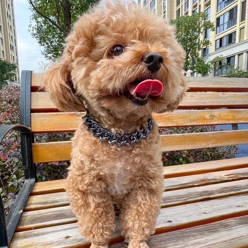 Cute Plastic Heart Shape Pet Collar
