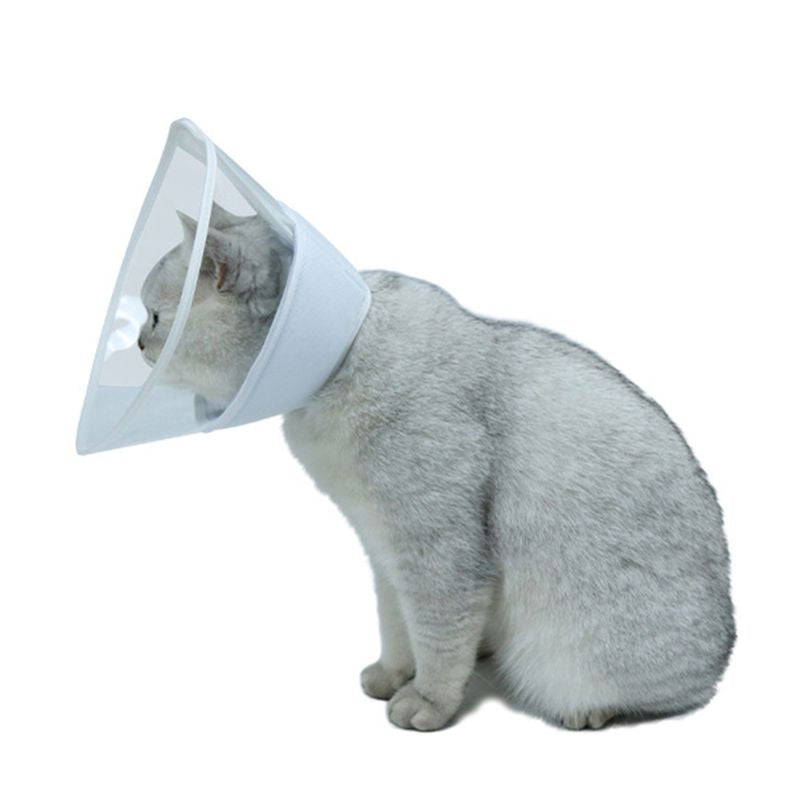 Healing Surgery Cat Collar