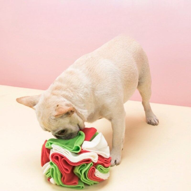 Dog Sniffing Ball Puzzle Toys