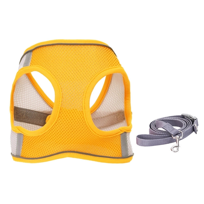 Minimalist Polyester Color Block Leash