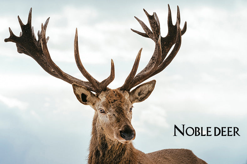 150cm HONEYPOT Forest Oak Cat Climbing Tree