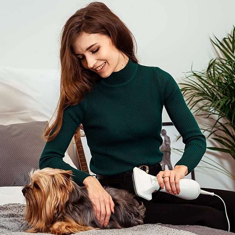 🔥2-in-1 Dog Grooming Dryer