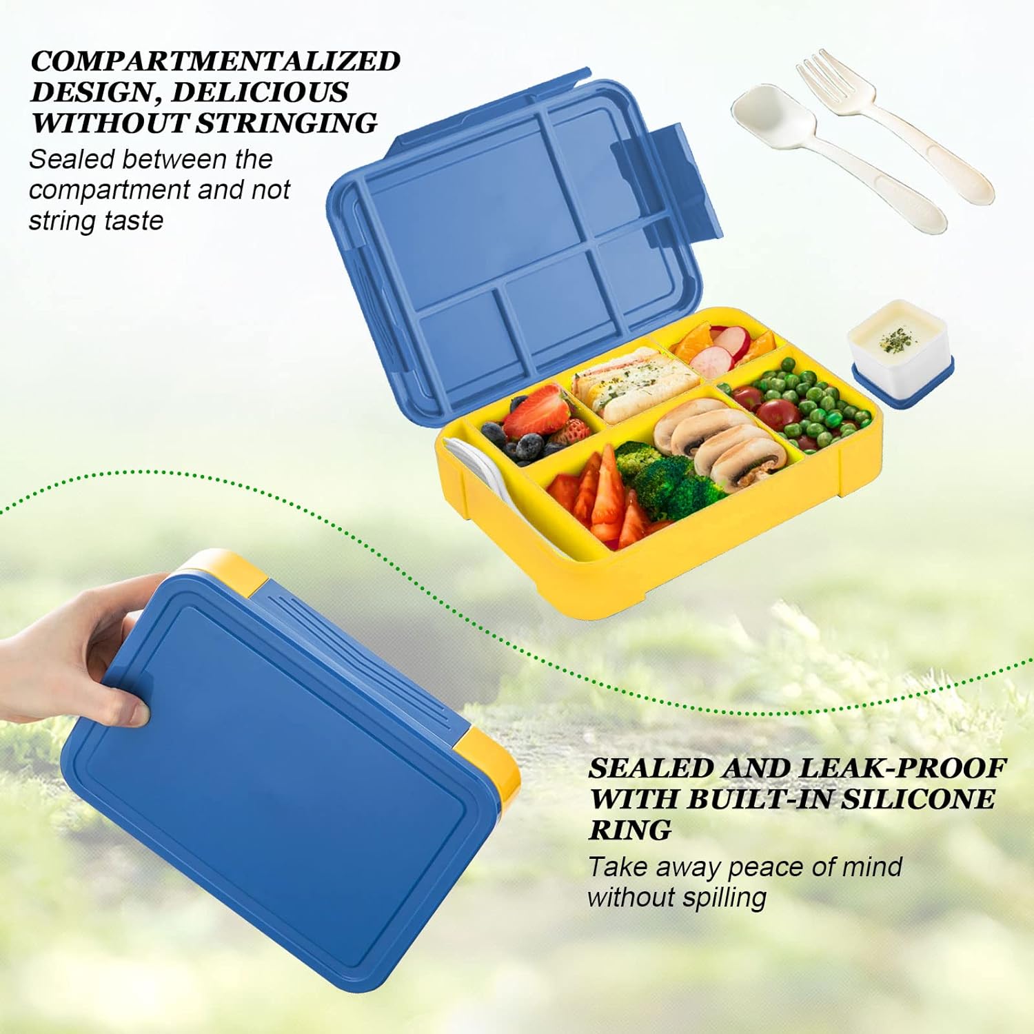 Children's Lunch Box With Compartments. Bento Lunch Box For Adults. Girls And Boys