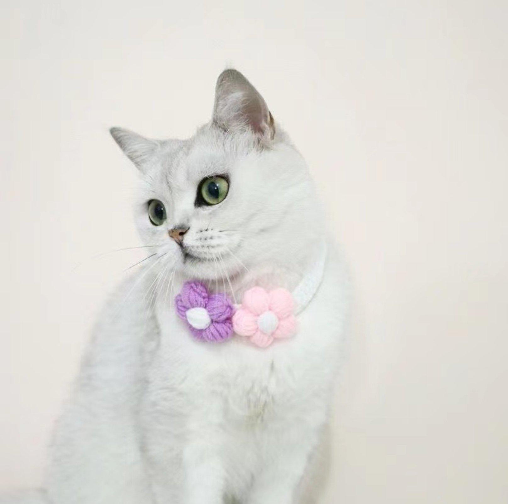 Woolen Knitting Sunflower Pet Collar